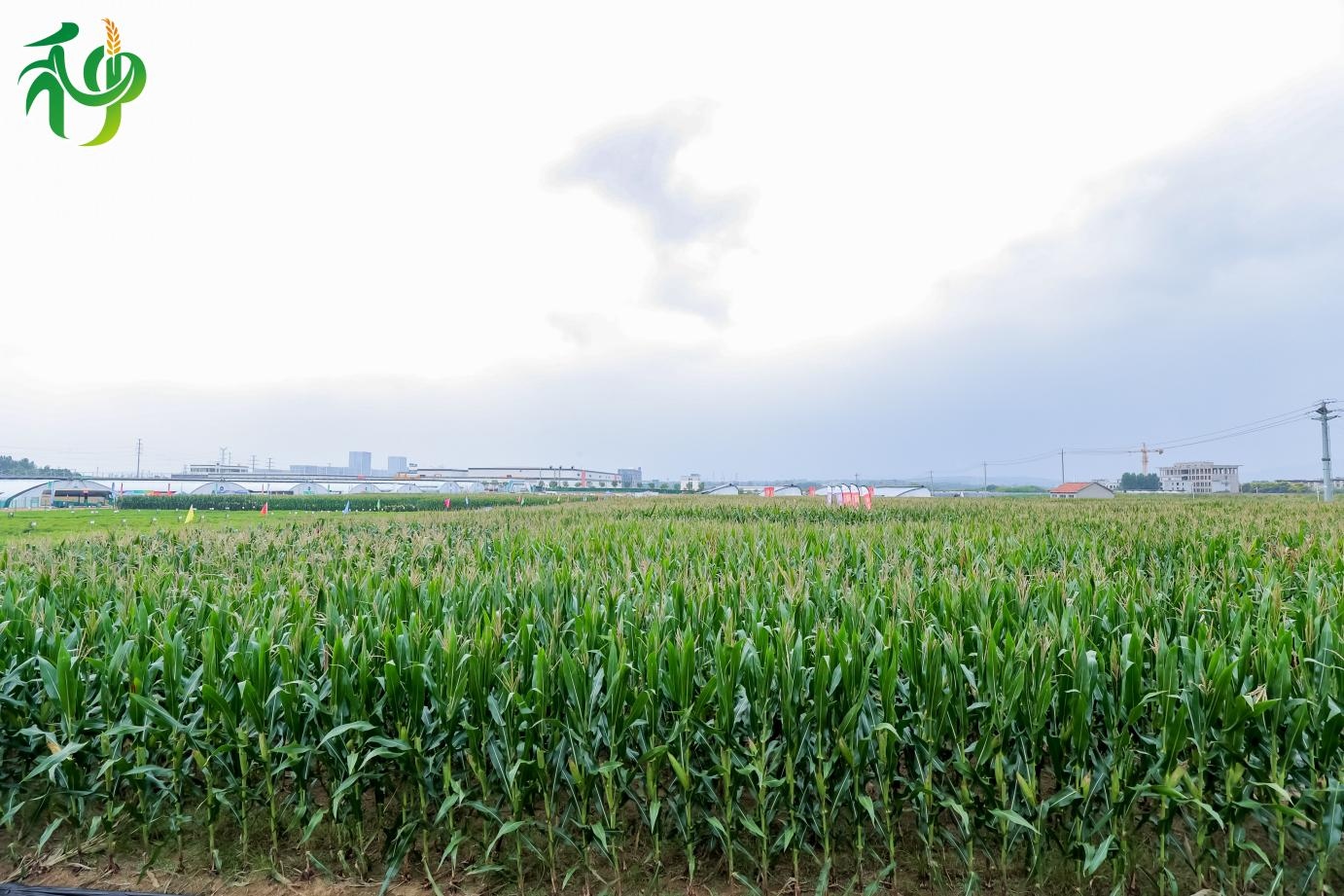 圖片10.jpg 圖片10.jpg